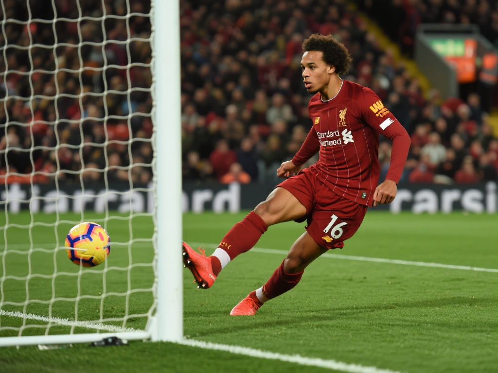 扬科维奇才 扬科维奇才